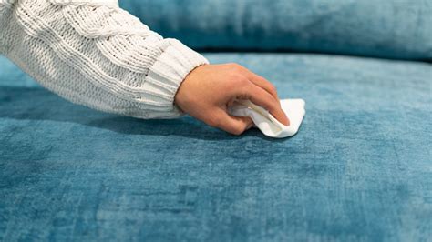 sofa smell removal